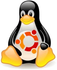 Linux Ubuntu